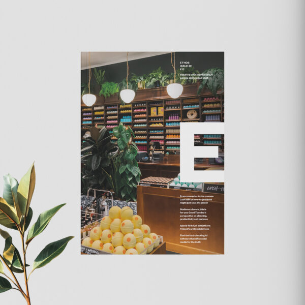 1 year (2 issue) print subscription