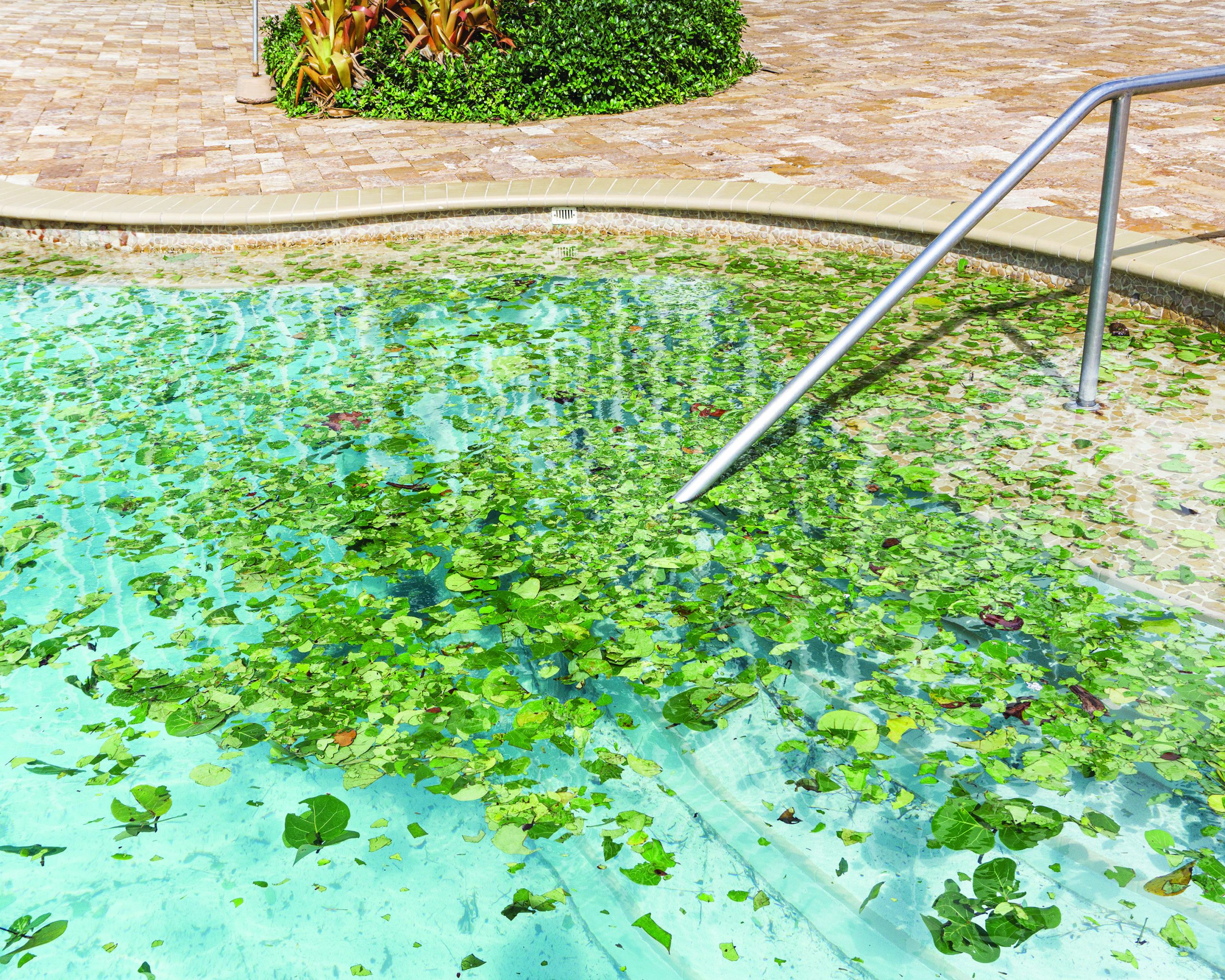 FloodZone, Pool After Hurricane, 2017 - Anastasia Samoylova