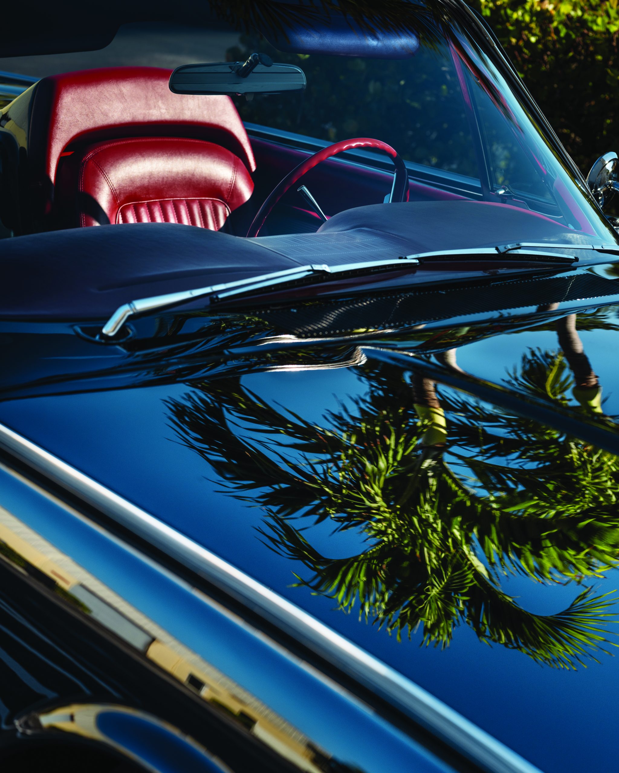 Atlantic Coast, Reflection in Black Thunderbird, Palm Beach, FL, 2024 - Anastasia Samoylova