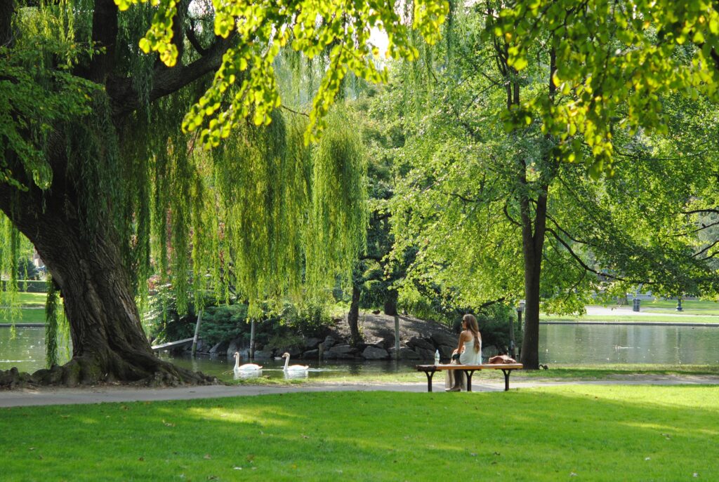 Person sitting in green space